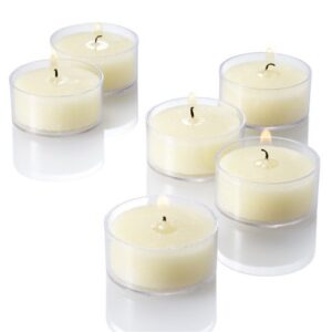 richland ivory vanilla scented clear cup tealight candles set of 50
