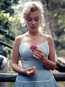 buyartforless rare photograph of marilyn monroe with flower 12×16 art printed poster made in the usa