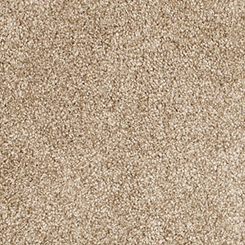 SAFAVIEH Florida Shag Collection 4' Round Beige / Beige SG454 Border Non-Shedding Living Room Bedroom Dining Room Entryway Plush 1.2-inch Thick Area Rug