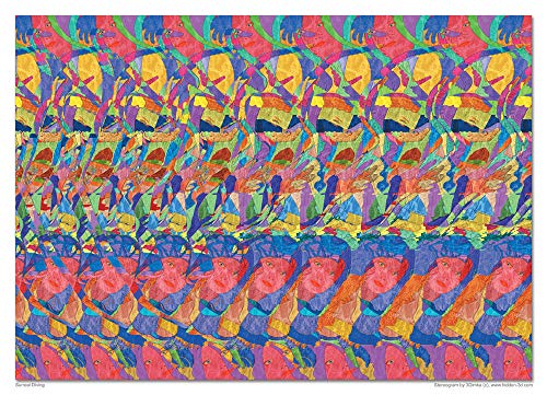 Set of Six 18"x13" Stereogram Posters (Set#2)