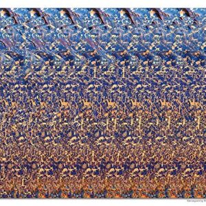 Set of Six 18"x13" Stereogram Posters (Set#2)