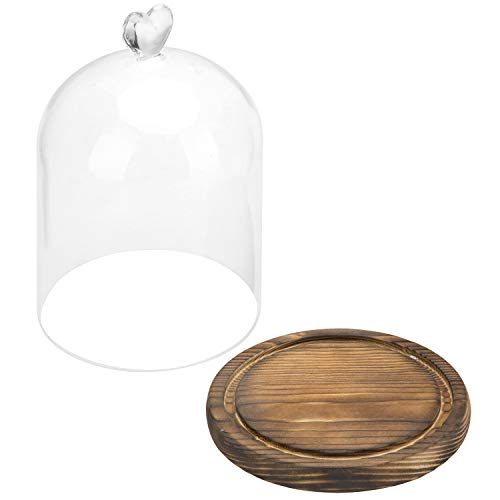 MyGift 6 Inch Small Clear Glass Cloche Bell Jar Display Case with Heart Top Handle and Dark Brown Wooden Base