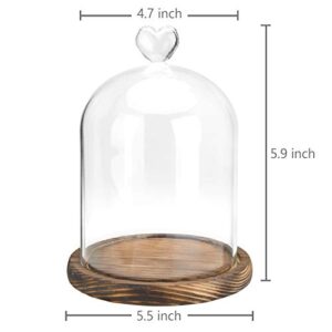 MyGift 6 Inch Small Clear Glass Cloche Bell Jar Display Case with Heart Top Handle and Dark Brown Wooden Base