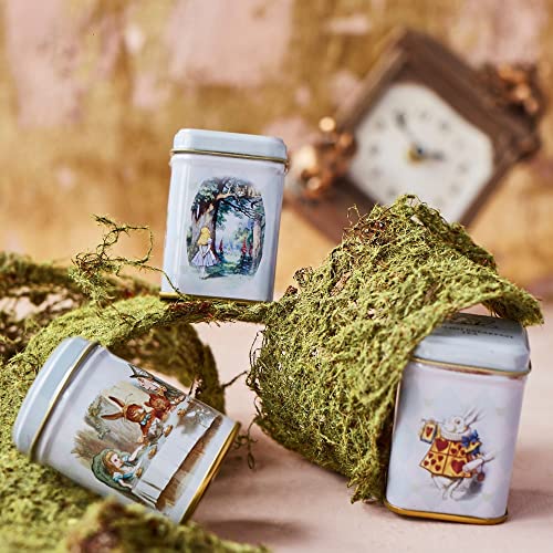 Alice in Wonderland 3x Mini Tea Tins with Assorted English Loose Leaf Tea