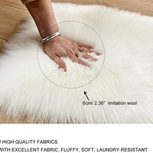 PICTURESQUE Fluffy Faux Area Rug Heart Shaped Plush Rug Fluffy Carpet for Living Room Bedroom Sofa Floor, 15.7" x 19.7"