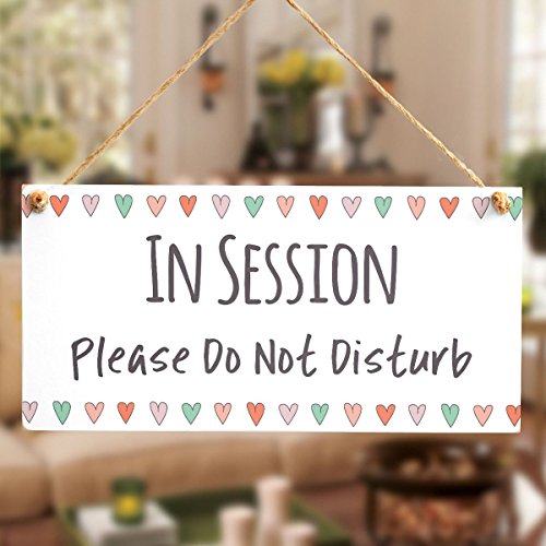 Meijiafei in Session Please Do Not Disturb - Functional Do Not Disturb Home Office Door Plaque Love Hearts 10" X 5"