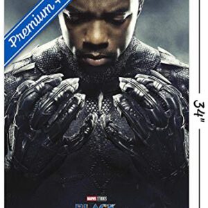 Trends International Marvel Cinematic Universe Black Panther - One Sheet Wall Poster, 22.375" x 34", Premium Unframed Version