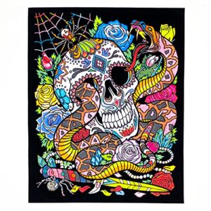 stuff2color snake eyes fuzzy velvet coloring poster for kids and adults (complete with skull, spider, spiderweb, and flowers) – awesome arts and crafts activity for all ages