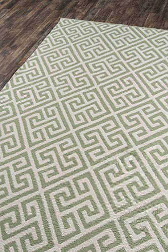 Madcap Cottage Palm Beach Brazilian Avenue Area, Indoor Outdoor Rug, 3'6" X 5'6", Green