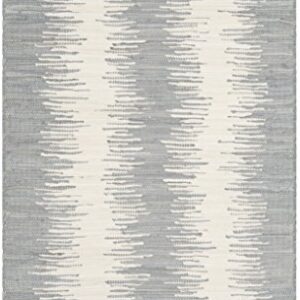 SAFAVIEH Montauk Collection 2'3" x 5' Grey MTK751K Handmade Stripe Fringe Cotton Accent Rug