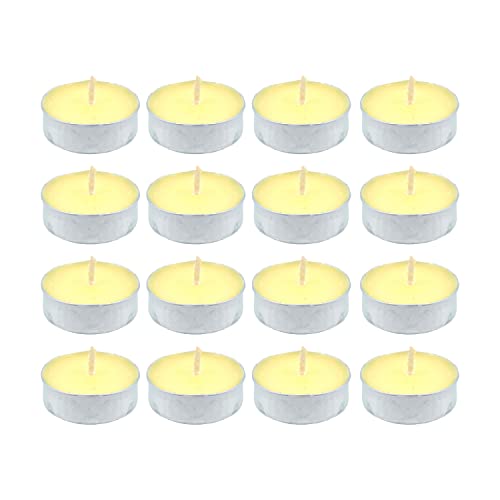 Mudra Crafts Tibetan Tealight Vanaspati Ghee Butter Lamp Candle Set (Silver Tone Alloy Case)