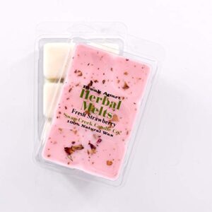 swan creek 2223 swan creek candle co. herbal melts scented melting wax – fresh strawberry