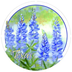 thirstystone stoneware coaster set, bluebonnets – texas