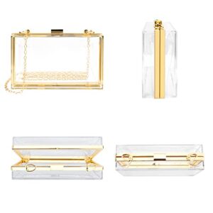 Linkidea Women's Clear Purse, Acrylic Clear Clutch Bag, Transparent Stadium Approved Crossbody Shoulder Evening Handbag with Two Detachable Chains for Wedding, Party (Gold)