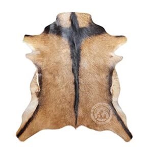 Sunshine Cowhides Genuine Goatskin Rug Goat Skin Goat Hide Goat Skin Rug Exotic 2 x 3 ft.