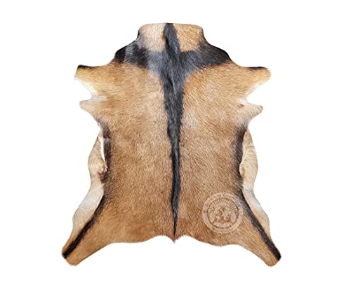 Sunshine Cowhides Genuine Goatskin Rug Goat Skin Goat Hide Goat Skin Rug Exotic 2 x 3 ft.