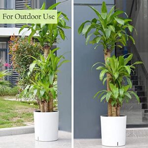 SAROSORA Large Round Self Watering Planter Pot 12.5'' for Home Garden Patio Tall Tree