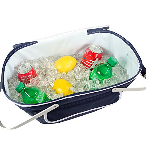 Picnic at Ascot Patented Collapsible Insulated Picnic Basket Equipped with Service For 4- Designed and Assembled in USA