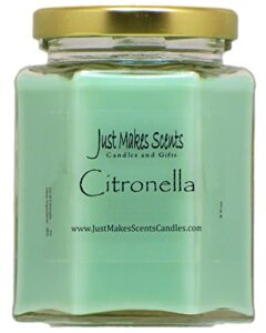 citronella scented blended soy candle for indoor use by just makes scents (citronella)