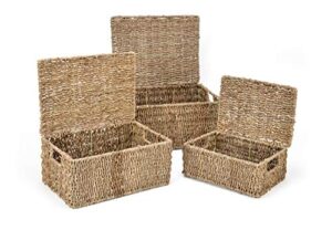 set of 3 rectangular seagrass baskets with lids by trademark innovations