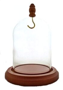 3 x 4 pocket watch glass display dome cloche with hook & wood knob, walnut stained base