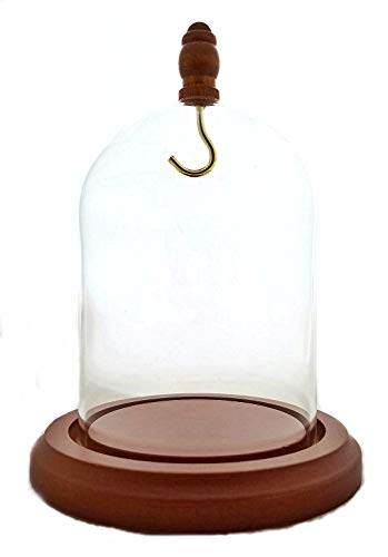 3 x 4 Pocket Watch Glass Display Dome Cloche with Hook & Wood Knob, Walnut Stained Base