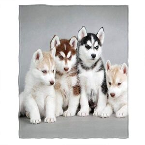 moslion soft cozy throw blanket husky puppies dogs fuzzy warm couch/bed blanket for adult/youth polyester 60 x 80 inches(home/travel/camping applicable)