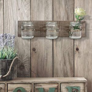 Stonebriar Rustic Industrial White Wash Wood Hanging Wall Decor with 3 Glass Jar Containers, Clear