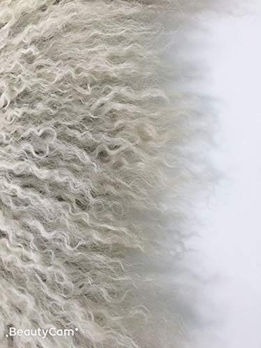 February Snow Deluxe Home Decorative Curly Fur Soft Plush 100% Real Genuine Mongolian (Tibetan) Lamb Wool Rug/Carpet/ (Grey)