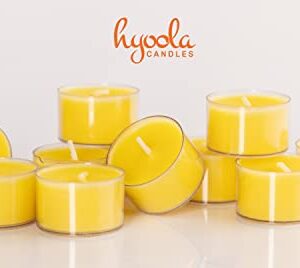 Tealight Citronella Candles Outdoor - 8 Hour Burn Time - Indoor and Outdoor Mosquito, Insect and Bug Repellent Citronella Candle - Natural Fresh Scent – Decorative in Clear Cup - 40 Pack