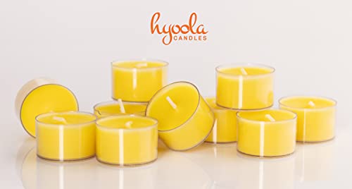 Tealight Citronella Candles Outdoor - 8 Hour Burn Time - Indoor and Outdoor Mosquito, Insect and Bug Repellent Citronella Candle - Natural Fresh Scent – Decorative in Clear Cup - 40 Pack