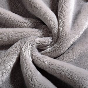 Reafort Ultra Soft Flannel Fleece All Season Light Weight Living Room/Bedroom Warm Blanket (Silver Grey, Throw 50"X60")