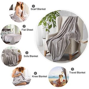 Reafort Ultra Soft Flannel Fleece All Season Light Weight Living Room/Bedroom Warm Blanket (Silver Grey, Throw 50"X60")