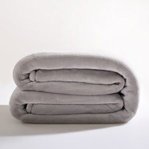 Reafort Ultra Soft Flannel Fleece All Season Light Weight Living Room/Bedroom Warm Blanket (Silver Grey, Throw 50"X60")