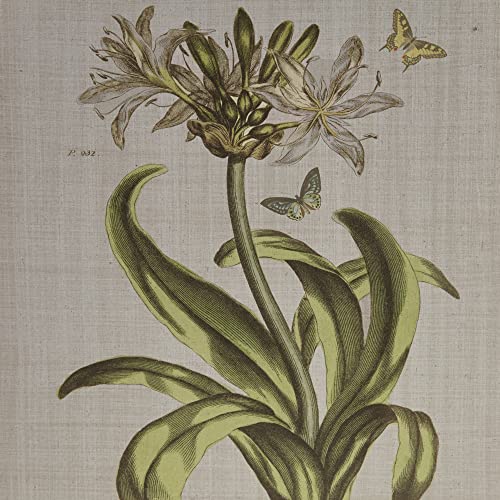 Martha Stewart Herbal Botany Wall Art Living Room Decor - Floral Linen Canvas, Farmhouse Lifestyle Bathroom Decoration, Ready to Hang Painting for Bedroom, 17.84"W x 21.84"L x 1.45"H, Green 4 Piece