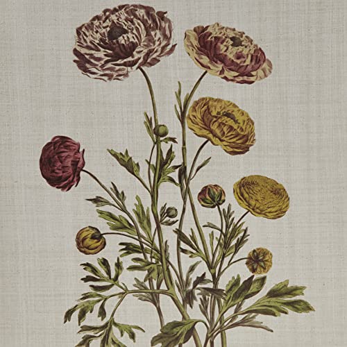 Martha Stewart Herbal Botany Wall Art Living Room Decor - Floral Linen Canvas, Farmhouse Lifestyle Bathroom Decoration, Ready to Hang Painting for Bedroom, 17.84"W x 21.84"L x 1.45"H, Green 4 Piece