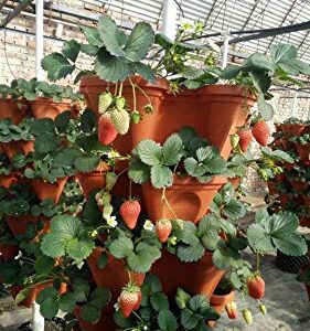 Mr. Stacky 5-Tier Strawberry Planter Pot, 5 Pots