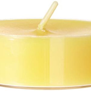 Zest Candle 12-Piece Tealight Candles, Mega Oversized Yellow s