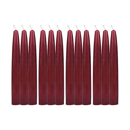 Zest Candle 12-Piece Taper Candles, 6-Inch, Burgundy