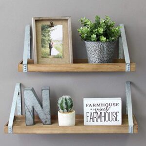 Stratton Home Decor Wood & Metal (Set of 2) Shelves, 20.08 W X 7.28 D X 7.87 H, Wood, Galvanized