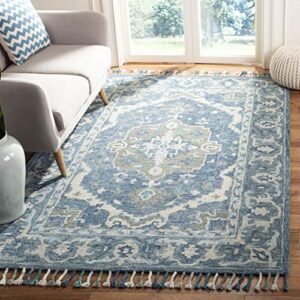 safavieh aspen collection 3′ x 5′ dark blue/grey apn230a handmade boho braided tassel wool area rug
