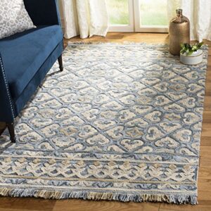 safavieh blossom collection 5′ x 8′ light beige/blue blm420a handmade fringe premium wool area rug