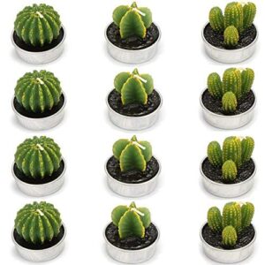 sunnyglade 12pcs cactus tealight candles handmade delicate succulent cactus candles for birthday party wedding spa home decor