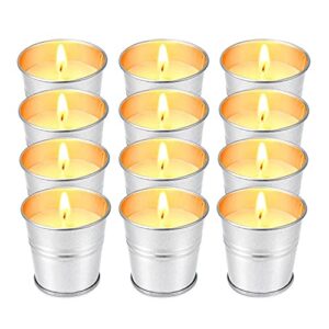 Hausware Citronella Candles Outdoor Indoor - 2.5 oz Scented Candles Set 12 Pack Natural Soy Wax citronella Candles for Garden Patio Yard Home Balcony Camping Backyard