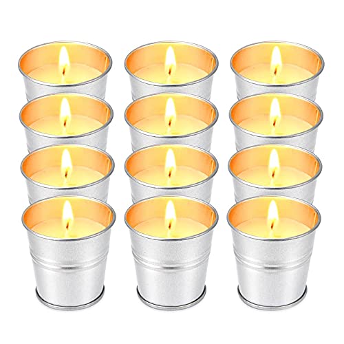 Hausware Citronella Candles Outdoor Indoor - 2.5 oz Scented Candles Set 12 Pack Natural Soy Wax citronella Candles for Garden Patio Yard Home Balcony Camping Backyard