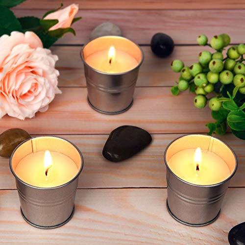 Hausware Citronella Candles Outdoor Indoor - 2.5 oz Scented Candles Set 12 Pack Natural Soy Wax citronella Candles for Garden Patio Yard Home Balcony Camping Backyard