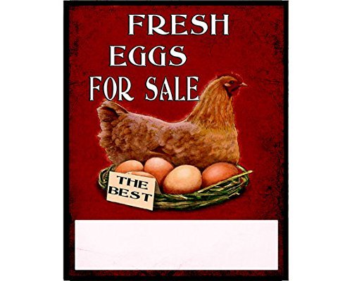 Destiny'S Stylish Vintage Fresh Eggs for Sale Vintage Metal TIN Sign Wall Plaque 8" X 12" inch