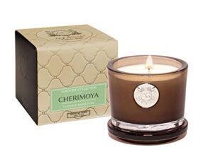 aquiesse cherimoya small candle in gift box, smoke brown