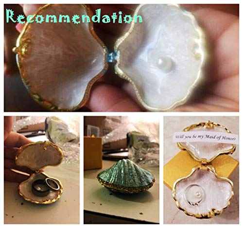 H&D HYALINE & DORA Metal Glass Trinket Box Ring Holder Small Seashell Figurine Collectible Table Centerpiece (pearl mussel)