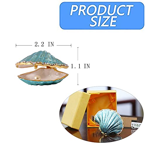 H&D HYALINE & DORA Metal Glass Trinket Box Ring Holder Small Seashell Figurine Collectible Table Centerpiece (pearl mussel)